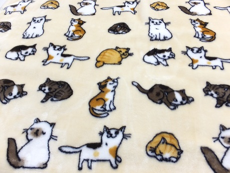 猫の毛布